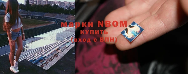 гашик Арсеньев