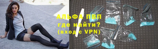 гашик Арсеньев
